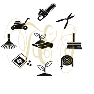 T&S Gartenarbeit