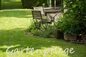 gartenpflege / Grünfläche pflegen / Hecke schneiden